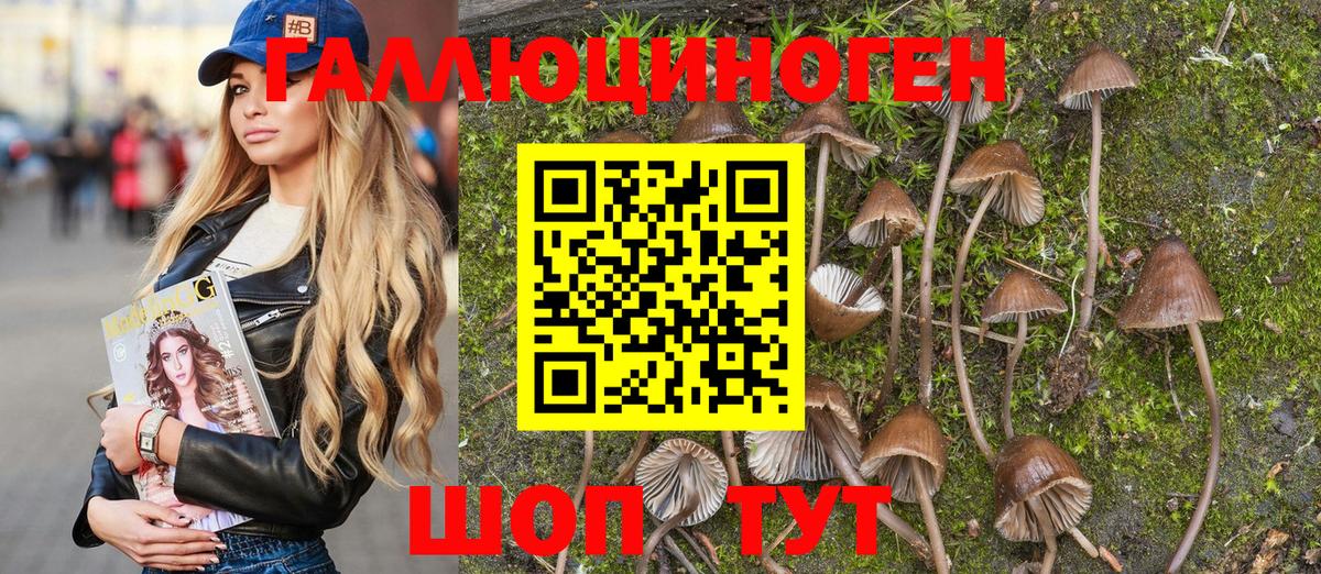 Алушта  Галлюциногенные грибы Psilocybine cubensis  Вход с VPN 